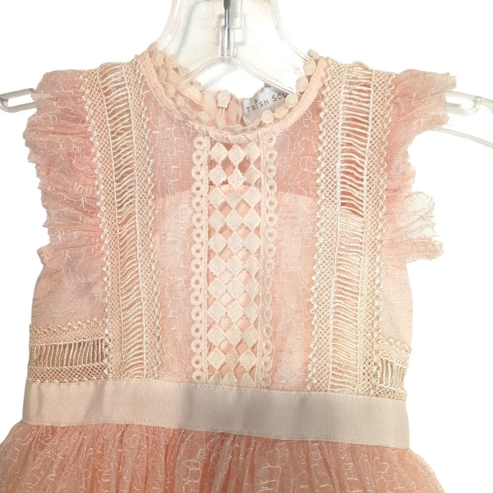 Trish Scully - Elegant Peach Lace Dress - Size 3 - Picture 2 of 6